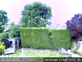 webcam.jpg
